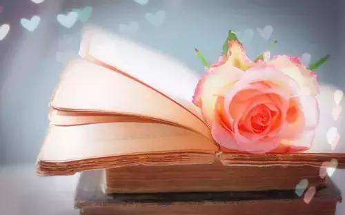 读书毁了我王强演讲视频完整版,读书毁了我作者