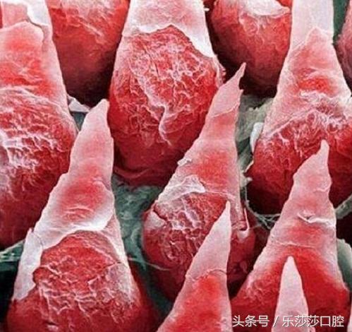 牙医能辨别出换过没换过的牙齿吗,牙医见过最好的牙齿是怎么样的