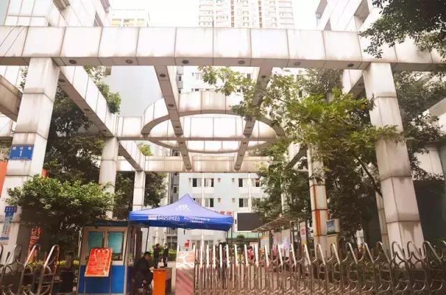 全国十大最美银杏大学,全国最美银杏大学