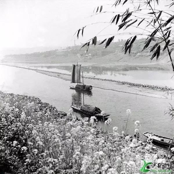 泸州市十大水库排名,泸州大坝工程