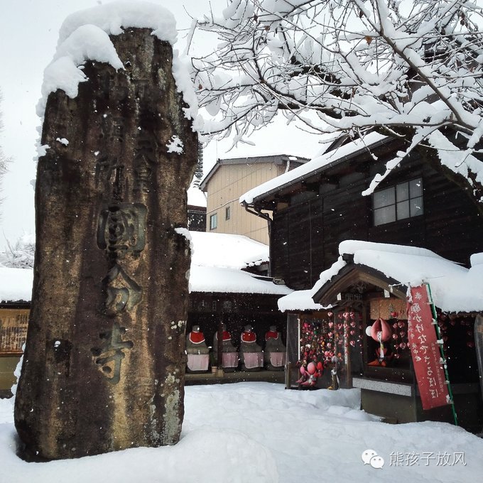 这个冬天我们一起去日本看雪,去日本看雪景哪个地方好