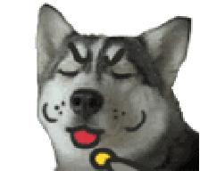 代购的化妆品怎么那么便宜,化妆品代购怎么买便宜又好看