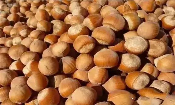 东北人的最爱,东北人的最爱东北大冻梨