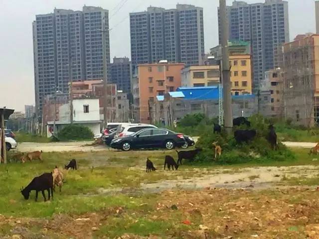 一间农庄,一间小院生态农场