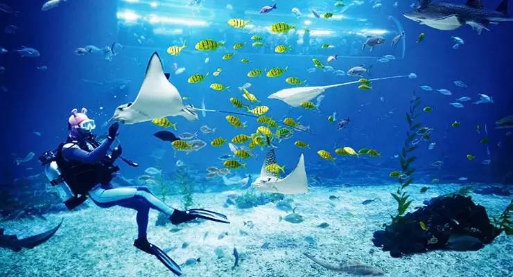 韩国济州岛5日跟团游,韩国济州岛和首尔自由行旅游攻略