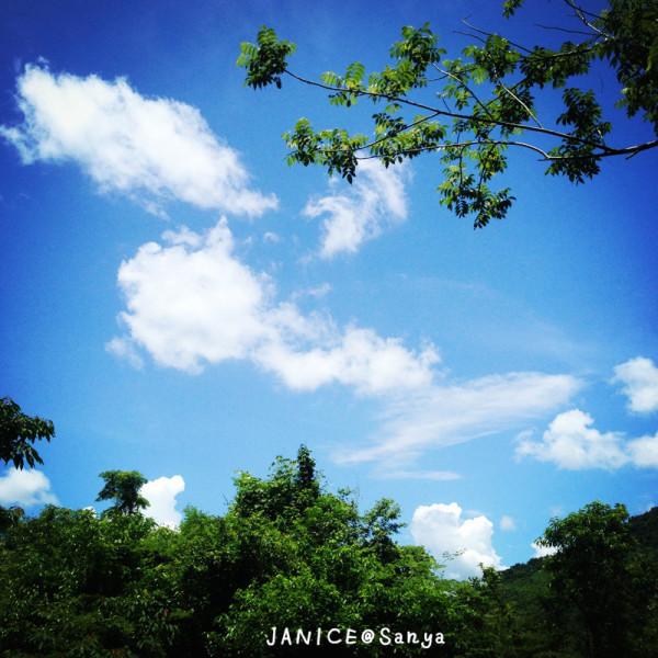 森林氧吧游玩攻略,宝界森林公园游玩攻略