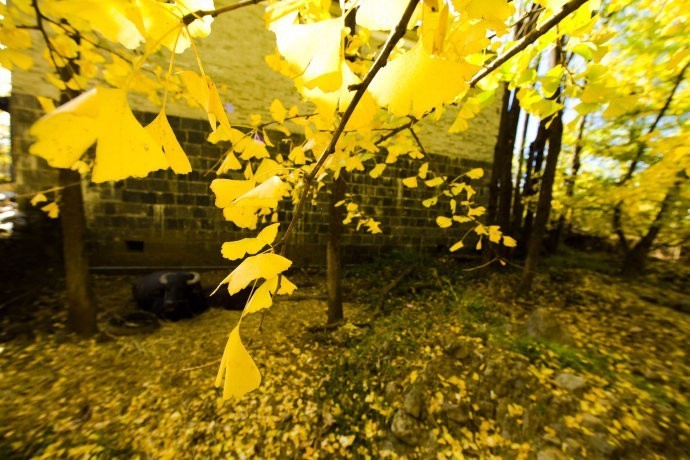 最近昆明哪里风景比较好,昆明周边的绝世美景