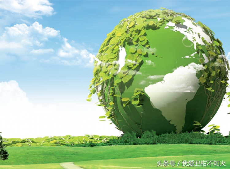 有机水果微商,有机水果市场前景简介