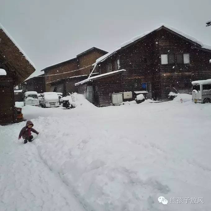 这个冬天我们一起去日本看雪,去日本看雪景哪个地方好