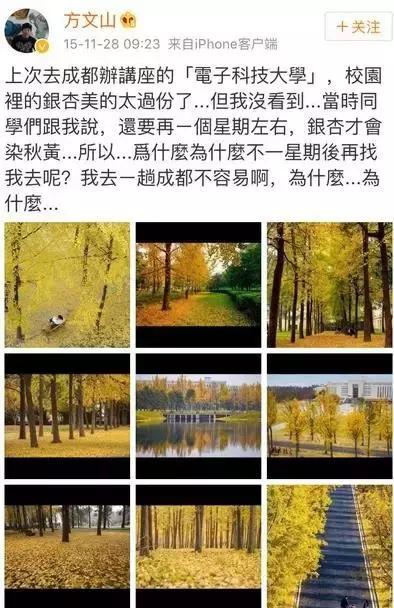 全国十大最美银杏大学,全国最美银杏大学