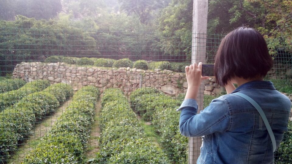 你最难忘的手机,你最怀念的哪一部手机