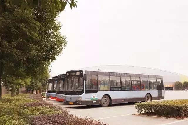 全国十大最美银杏大学,全国最美银杏大学