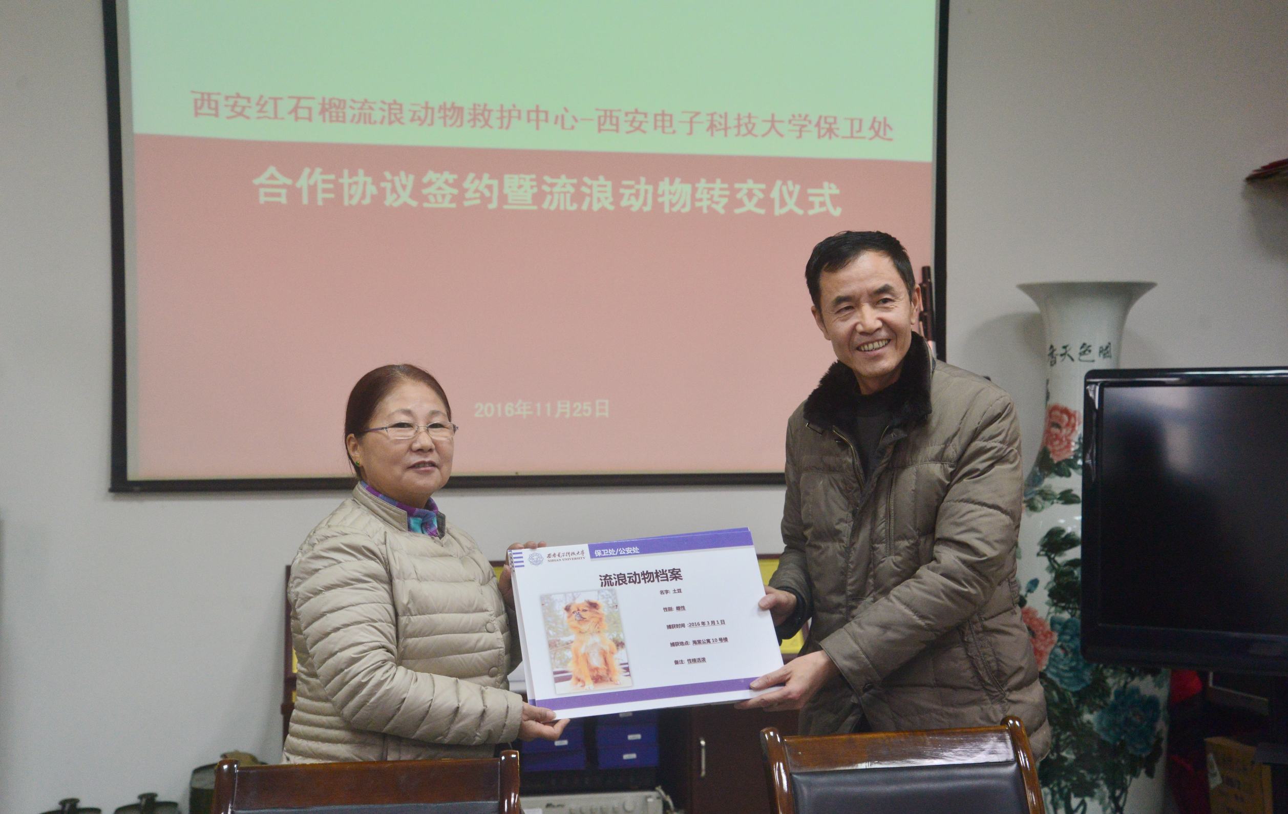 西安临潼区流浪动物救助,救助捐赠流浪狗