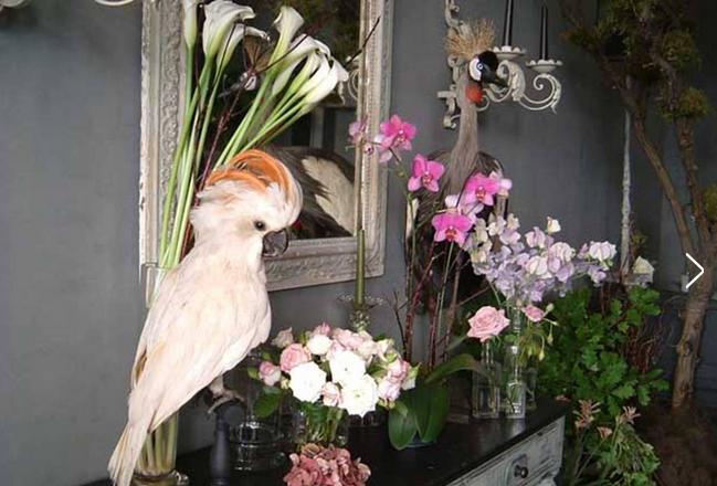 世界上最奢侈花店,世界最奢侈的花园