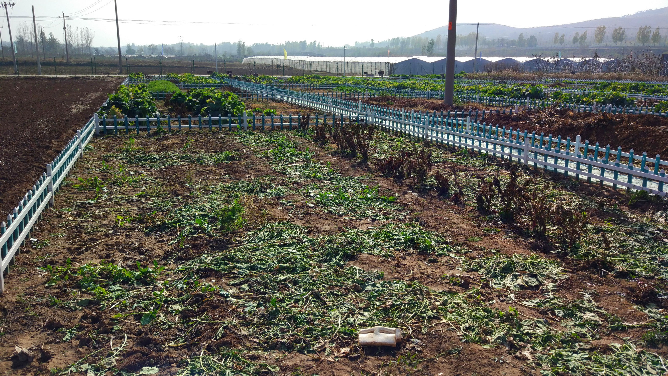 青州赤涧村数字乡村建设心得体会,青州弥河赤涧村