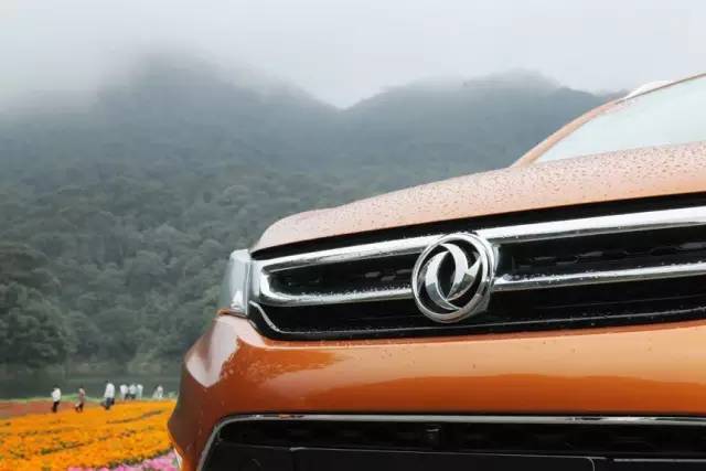 你先镇定一下,我们要在野生动物园里开车了