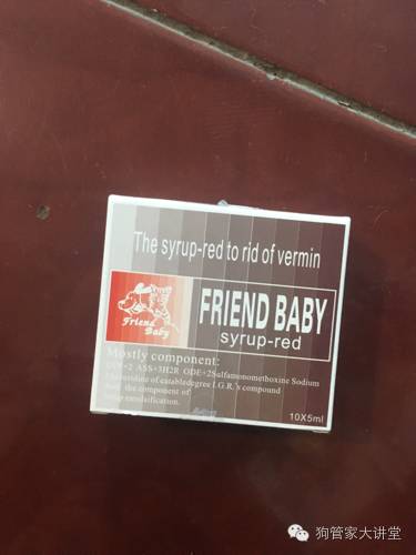 金毛从成年开始养,金毛养成