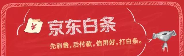 花呗和京东白条接入央行征信,花呗京东白条影响征信吗