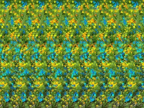 超神奇的3d动态图,omg效果图