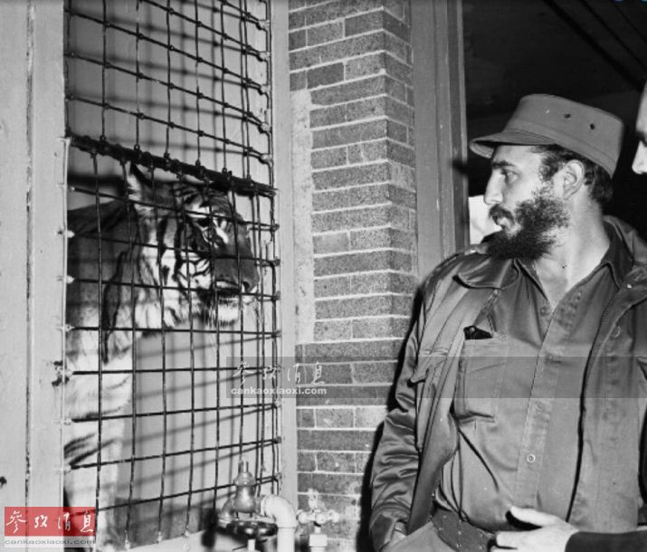 菲德尔卡斯特罗会见普京,卡斯特罗来访中国