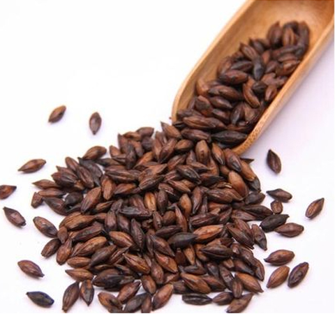 大麦茶的功效与禁忌是什么,大麦茶作用与功效和禁忌