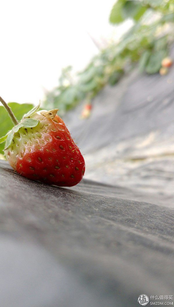 htca9和x9哪个好,htconex9参数