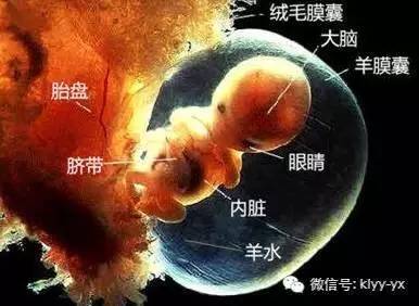 「孕期检查」羊水背后隐藏的秘密，孕妈妈们看后都惊到了！