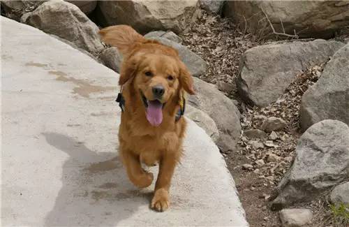 活动回顾｜欧帝亿主题巴士回顾--畅游幽谷神潭