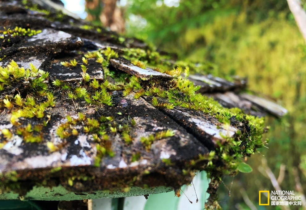 侠骨柔情展现的淋漓尽致,侠骨柔情温柔似水