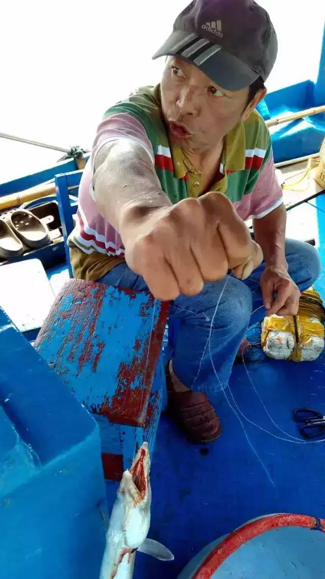 延绳钓非遗,延绳钓老一辈传下来的老手艺