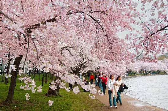 「实用攻略」异域风情在上海玩遍全世界