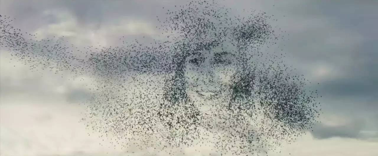 重度的幻想症的表现,重度幻想症如何解决