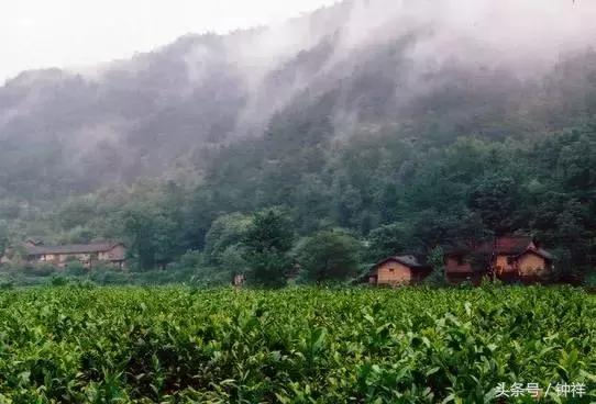 钟祥还能不能去,对不起我要离开了文章