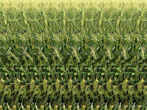 超神奇的3d动态图,omg效果图