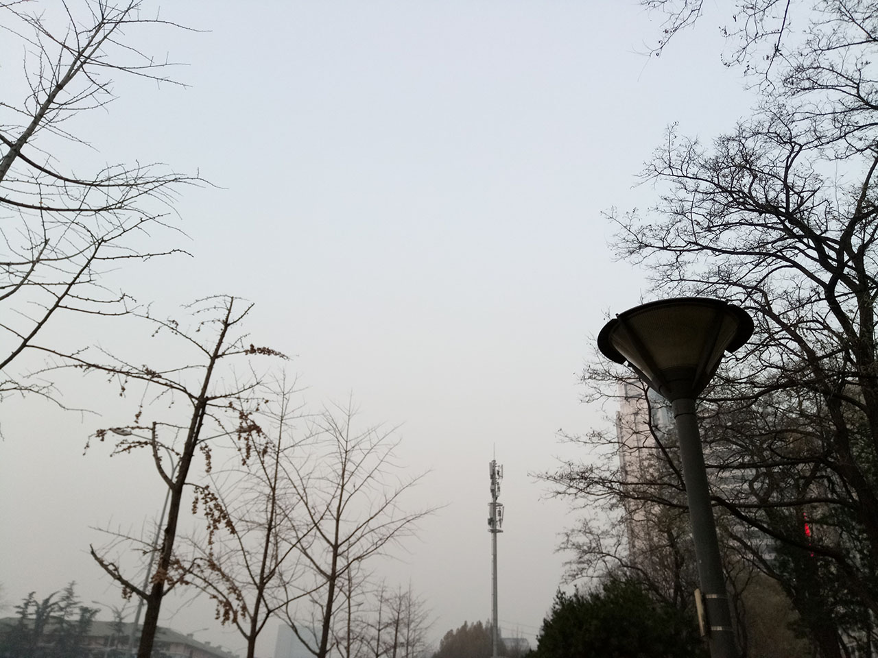 魅蓝5值得买吗,魅蓝5全新