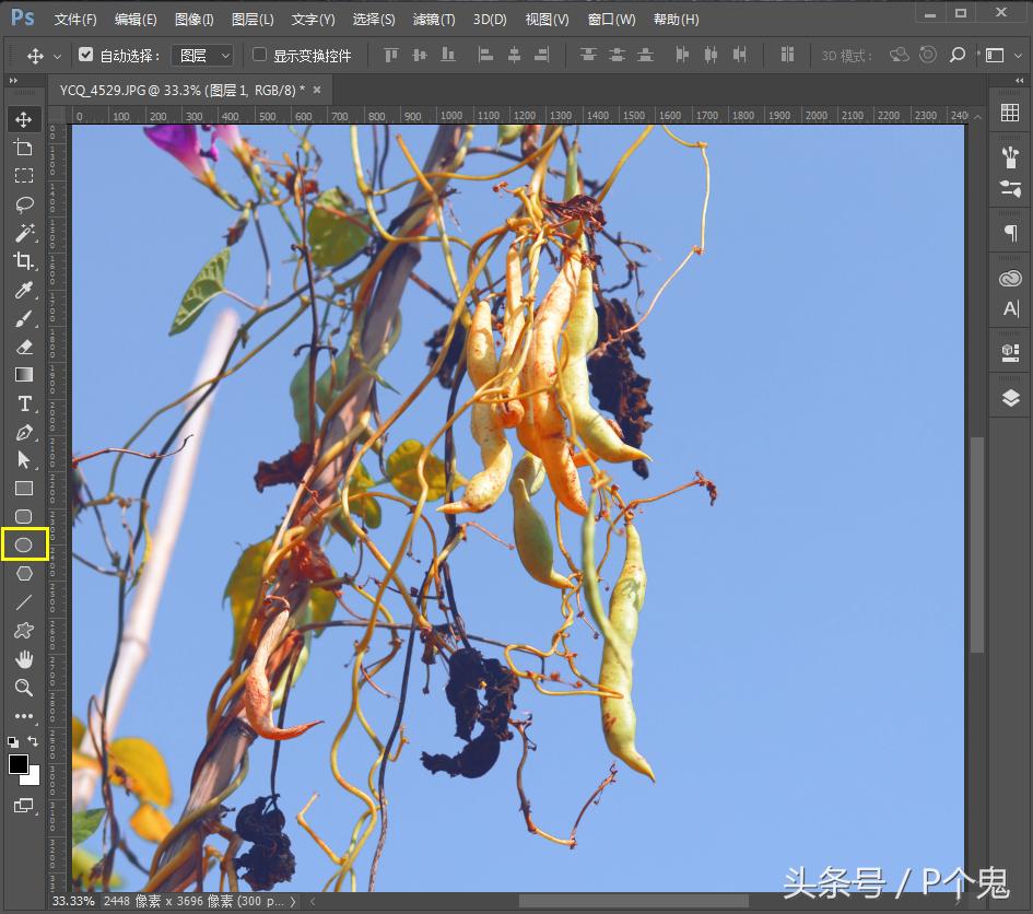 photoshopcc图像处理,adobephotoshopcc2018