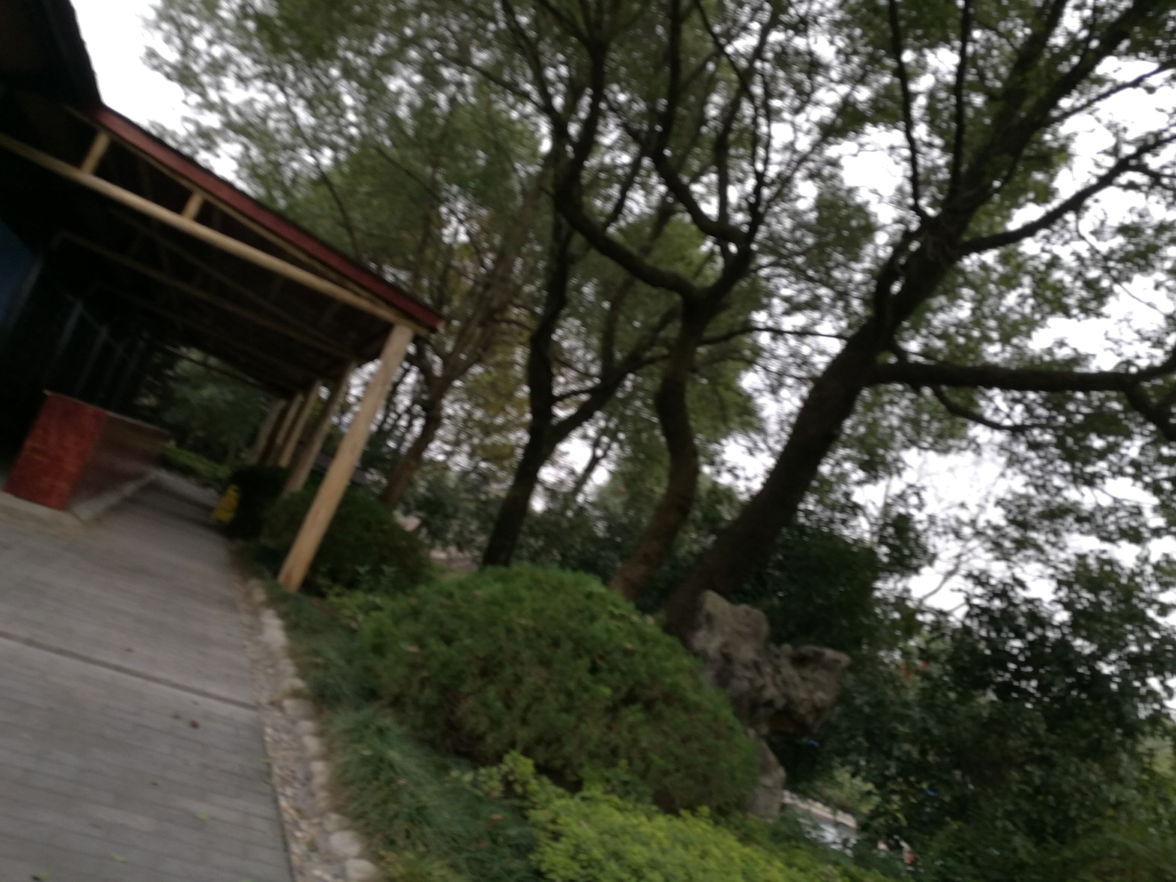 咸宁温泉旅游城,咸宁温泉免费吗