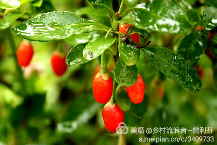 记住乡愁河源热水镇,发现河源