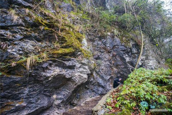 戏猴、爬山、观瀑布，那就跟我去卧龙谷！