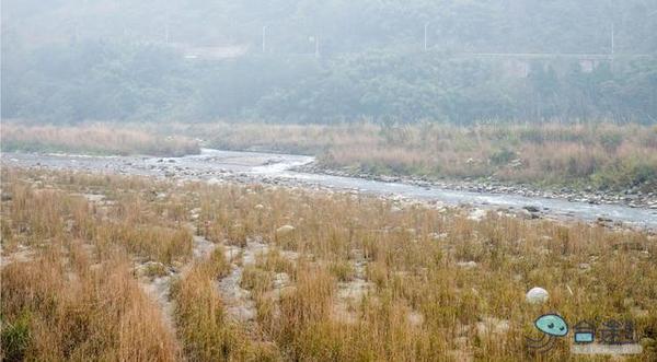 戏猴、爬山、观瀑布，那就跟我去卧龙谷！