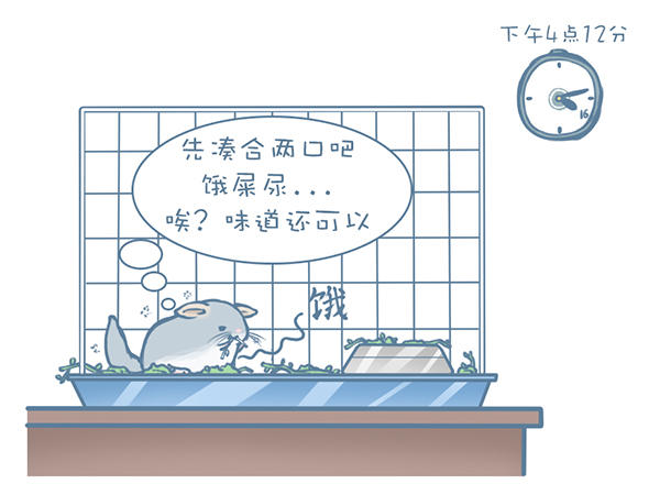 龙猫怎么才能不掉毛,龙猫挑食不吃主粮怎么办