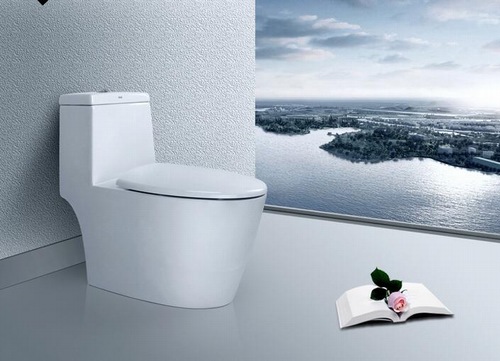 坐便器清洁方法最好的,坐便器与蹲便器哪个节约地方