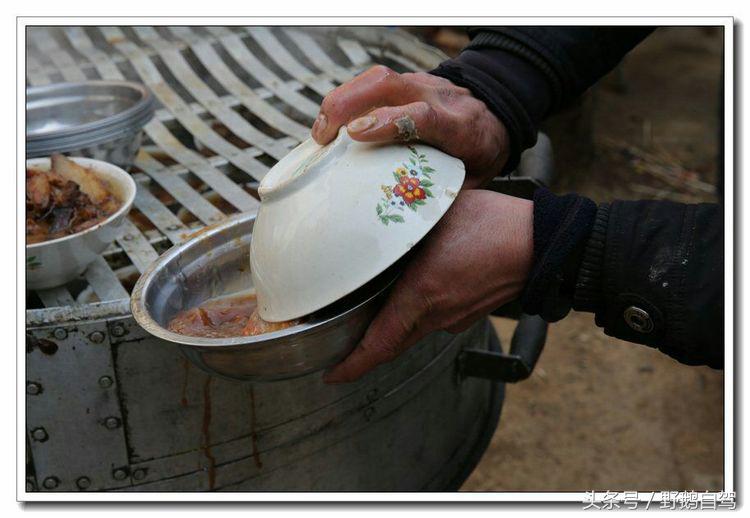 野鹅自驾甘肃,野鹅自驾