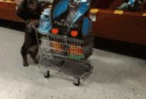 无锡进口超市推荐,无锡值得逛的超市