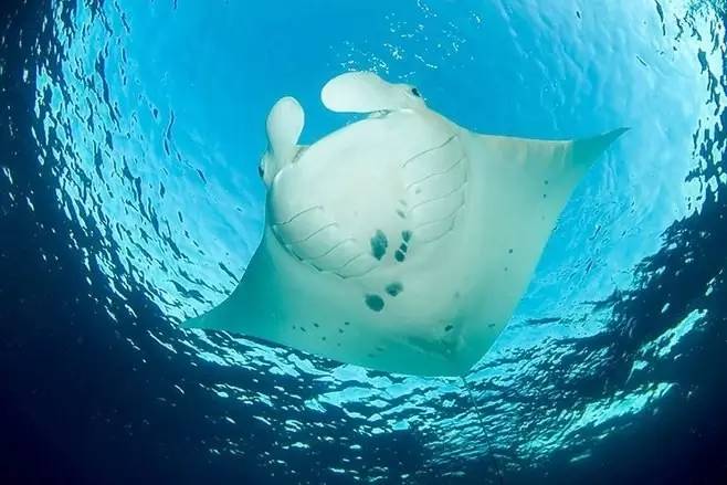 再不疯狂我们就老了下一句怎么说,完整版的再不疯狂就老了