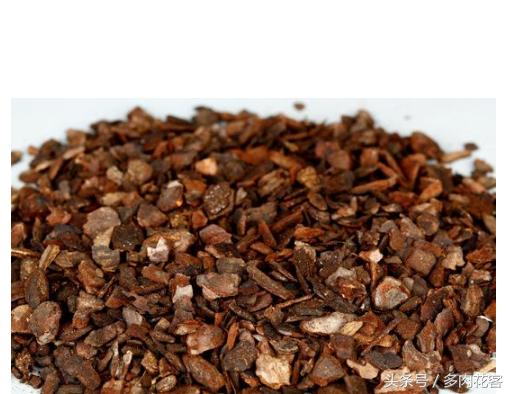 粗河沙可以当多肉的铺面石吗,多肉铺面石用小石子可以吗