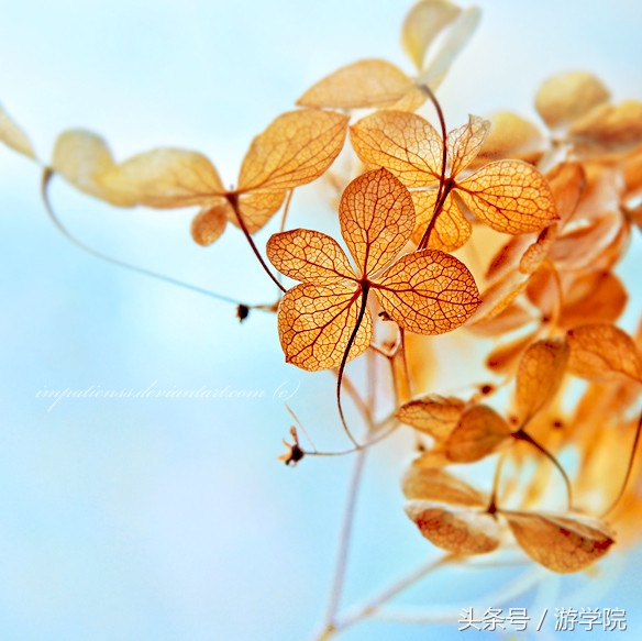 摄影答疑,解答摄影问题