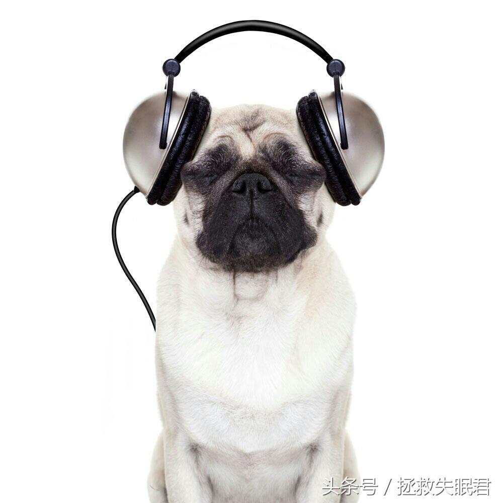 治愈失眠的音乐,5首经典助眠音乐拯救失眠党