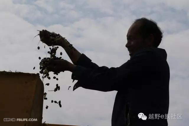 说走就走出去溜达,说走就走出去玩视频