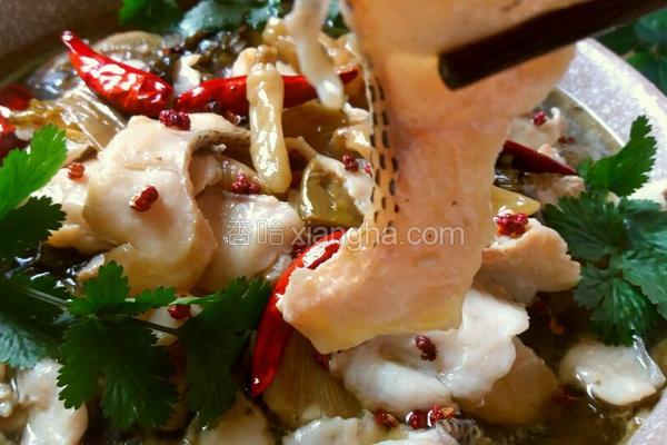 剔鱼片的教程,鱼片的切法剔除鱼刺视频